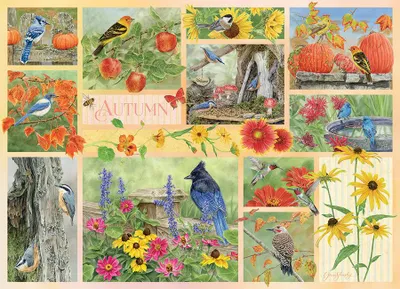 Image de Puzzle Cobble Hill « Oiseaux d'automne » - Puzzle de 500 pièces