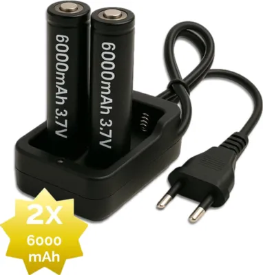 A black battery charger with two 18650 batteries and a European plug.