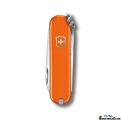 Produktbild von Victorinox Classic SD 58 mm Mango Tango Blister