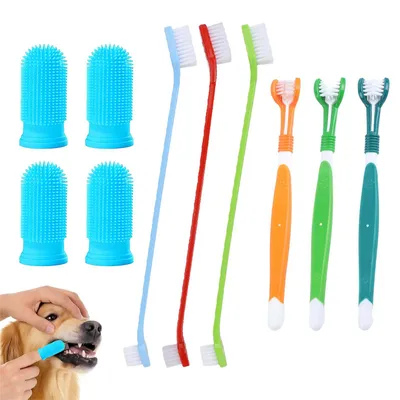 Produktbild von 10-teiliges Set Zahnbürsten für Hunde, inklusive Fingerbürsten