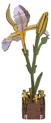 Image de Kit Iris 3D en bois - 60 pièces.