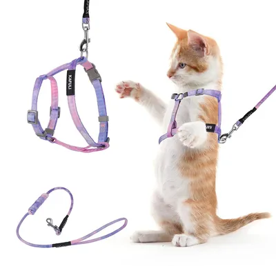 Image de Harnais pour chat - Harnais avec laisse - Réglable - Violet - Laisse 125 cm