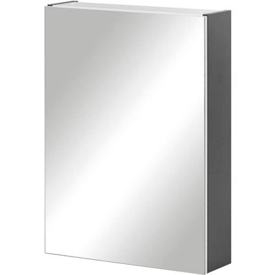 MÖBELPARTNER Spiegelschrank Basic 146428 anthrazit 50,0 x 15,9 x 70,7 cm
