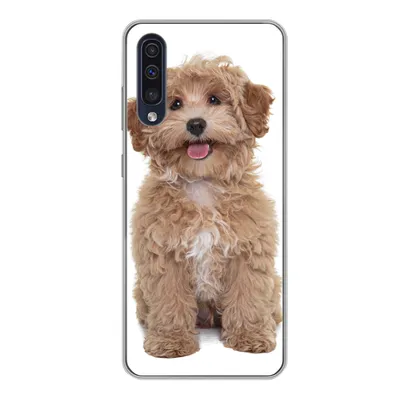 Produktbild von MuchoWow® Handyhülle Schutzhülle Hülle für Samsung Galaxy A50 Hund - Haustiere - Fell Silikon Softcase Handy Hülle - Mobiltelefonhülle
