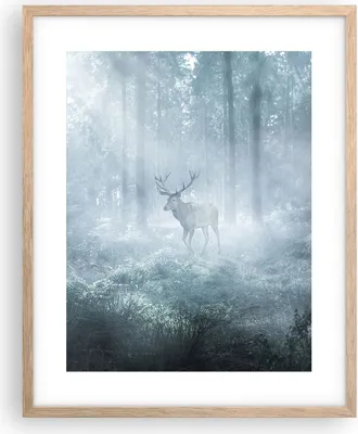 Produktbild von Gerahmtes Poster - Rahmen in heller Eiche - Hirsch Wald Morgendämmerung - 40x50 cm - Wand Bild - Wanddeko - Wandbilder - Kunstposter - Wandposter - Bilderrahmen - Bilder - Kunstdruck - P2NPA40x50-4667