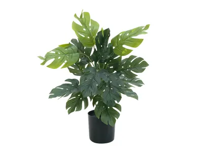 Image de EUROPALMS Splitphilodendron, plante artificielle, 38cm