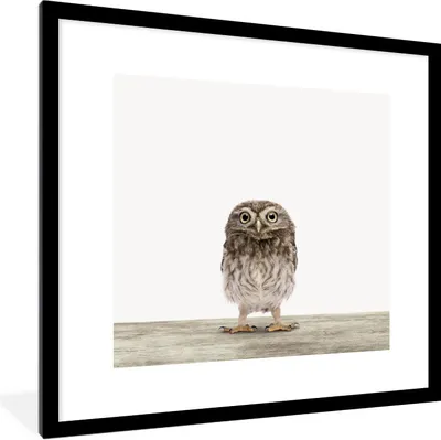 Produktbild von MuchoWow® Gerahmtes Poster Eule - Braun - Kinder - Jungen - Mädchen 40x40 cm - Poster mit Schwarzem Bilderrahmen Wandposter Rahmen Foto Bilder - Poster - Plakat im Rahmen