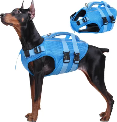 Produktbild von Hunde Schwimmweste Rettungsweste mit Griff Ripstop Blue L
