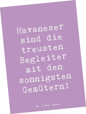 Produktbild von Mr. & Mrs. Panda Postkarte Spruch Havaneser Begleiter - Lavendeltraum - Geschenk, hypoallergen, Eigenschaften, Zuneigung, Erziehung, Hundeliebhaber, Ansichtskarte, loyal