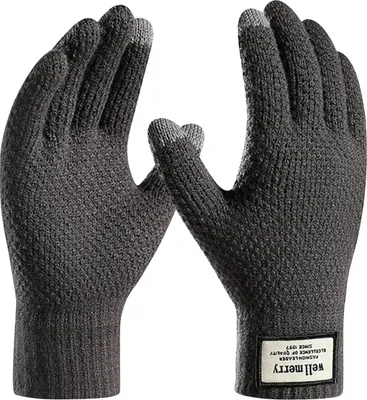 Produktbild von Warme Winter Touchscreen Handschuhe gefüttert Damen Herren, Einheitsgröße, A0351 Grau