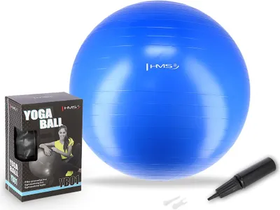 Obrázek produktu pro Gymnastický míč HMS YB01N 55 cm modrý