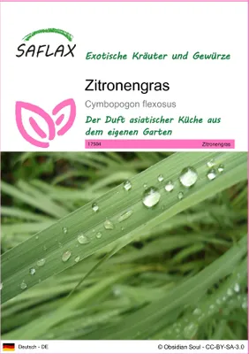 Produktbild von SAFLAX - Zitronengras - Cymbopogon flexosus - 50 Samen