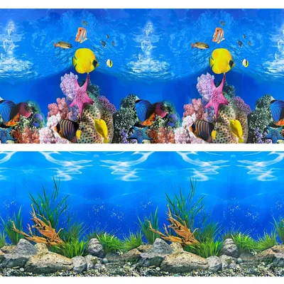 Aquarium-Hintergrundposter 3D Korallenriff 30,5x63,5 cm