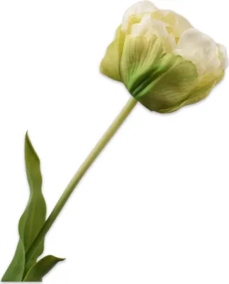 Produktbild von Silk-ka Kunstblume – Seidenblumen, Tulpenstiel, grün-weiß, 66 cm