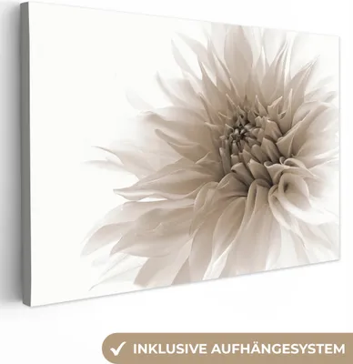 Obrázek produktu pro OneMillionCanvasses® - Obraz na plátně - 150x100 cm, Květiny - Bílá - Příroda - Botanická, Nástěnný umělecký tisk Nástěnná dekorace - Fotografie na plátně - Obraz na dřevěném rámu
