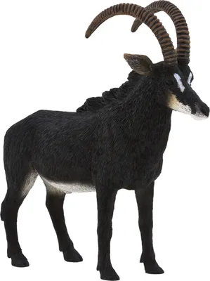 Produktbild von Mojo 387145 Animal Planet Rappenantilope ca. 11 x 3 x 11 cm