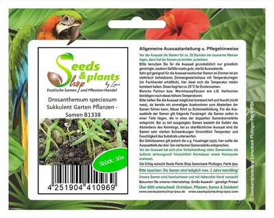Produktbild von 10x Drosanthemum speciosum Sukkulent Garten Pflanzen - Samen B1338