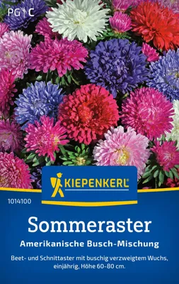 Produktbild von Kiepenkerl Sommerastersamen Amerikanische Busch-Mischung Callistephus chinensis 70 Pflanzen