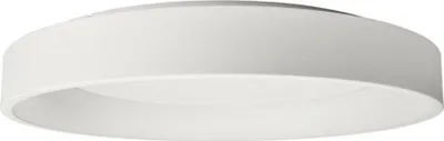 Immagine prodotto di Light Impressions Deko-Light apparecchio da soffitto Sculptoris 800 mm, 60,0 W, 3000/4000 K, bianco 220-240V AC/50-60Hz 60,00 W 3000/4000 K 4100 lm bianco RAL 9016 348184