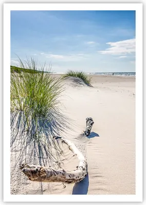 Produktbild von Poster - Poster ohne Rahmen - Mrzezyno Strand Meer - 70x100 cm - Wand Bild - Wanddeko - Wandbilder - Kunstposter - Wandposter - Bilder - Kunstdruck - Wanddekoration - Wandbild - P2XPA70x100-4281