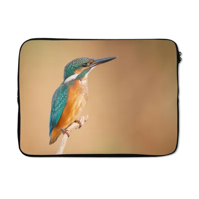 Produktbild von MuchoWow® Laptop Hülle 13 Zoll Eisvogel - Federn - Äste Laptoptasche - Laptophülle - Sleeve - Rundumschutz