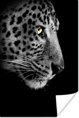 Produktbild von MuchoWow® Poster Leopard - Fell - Tier 120x180 cm - Kunstposter