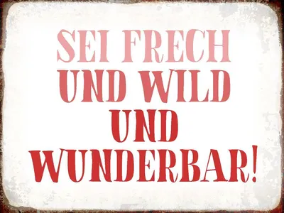 Produktbild von vianmo Holzschild 30x40 cm sei frech und wild und wunderbar