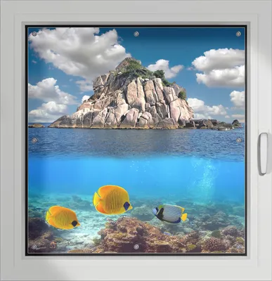 Produktbild von Wallario Lichtschutzbild, Dekorativer Sichtschutz Sonnenschutz 96 x 100 cm mit Motiv: Exotische Fische im Meer - Verdunklung ohne Bohren