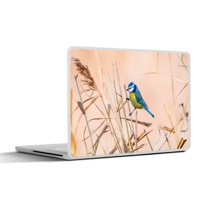 Produktbild von MuchoWow® Laptop Aufkleber Sticker Cover Vogel - Blaumeise - Schilf 36.5x27.5 cm - Laptop-Sticker