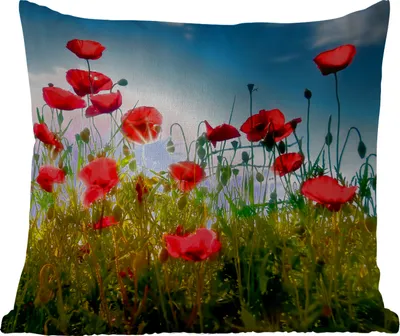 Produktbild von MuchoWow® Outdoor Kissen - Mohnblumen - Toskana - Sonne - Rot - Blau - 40x40 cm - Wetterfest - Lounge Kissen - Kopfkissen - Interieur - Polster mit Bild