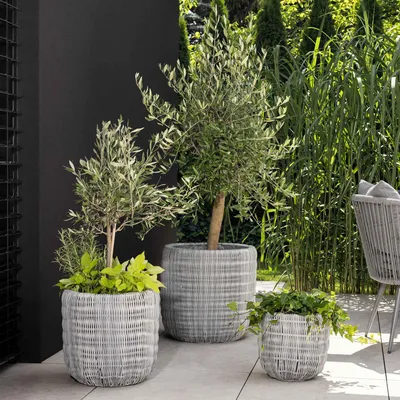 Produktbild von di volio Pflanzkübel Set LEPORI 3 hohe runde Polyrattan Blumentöpfe Grau