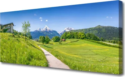 Produktbild von Tulup Leinwand-Bilder 125x50 Wandbild Canvas Kunstdruck Wiese Fußpfad Natur