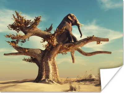 Produktbild von MuchoWow® Poster Elefant - Baum - Natur - Wüste 160x120 cm - Foto Plakat