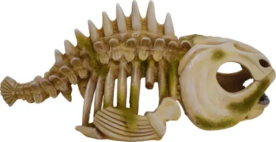 Produktbild von Nobby Aquariendekoration Fischsklett