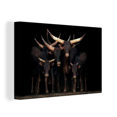 Obrázek produktu pro OneMillionCanvasses® Malba na plátně Nástěnná malba na plátně - Krávy - Watussi - černá - 150x100cm