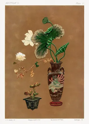 Produktbild von Plakat 50x70cm Blumen im Vase, G.A. Audsley Vintage für das Wohnzimmer