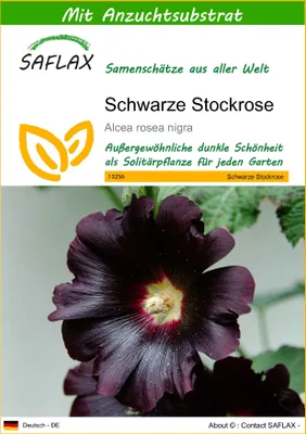 Produktbild von SAFLAX - Schwarze Stockrose - Alcea rosea nigra - 100 Samen - Mit keimfreiem Anzuchtsubstrat
