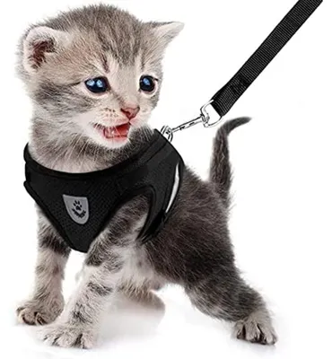 Produktbild von Hunde- und Katzen-Gurt aus atmungsaktivem Leder, atmungsaktive Zugseilweste (Schwarz)
