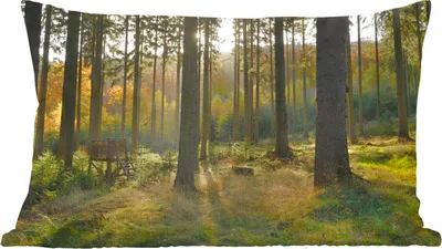 Produktbild von MuchoWow® Zierkissen Sofakissen Wohnzimmer Dekokissen 60x40 cm Wald - Sommer - Sonne - Kopfkissen - Polster mit Foto