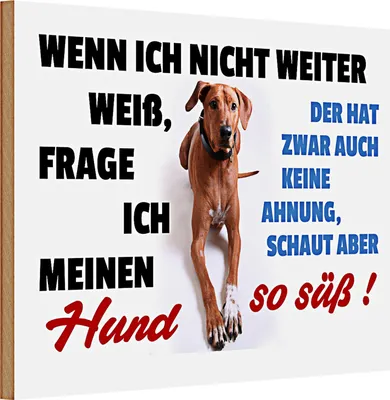 Produktbild von Holzschild Spruch 30x20cm wenn ich nicht weiter weiß Hund