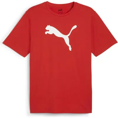 Produktbild von Puma Teamrise T-Shirt Herren - Rot