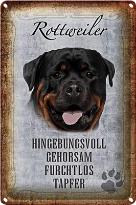 Produktbild von Blechschild Spruch 20x30cm Rottweiler Hund