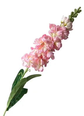 Produktbild von Künstlicher Rittersporn, realistische künstliche Ritterspornblüten mit Blättern, künstlicher Ritterspornzweig für Blumenarrangements, Partydekoration, Fotorequisite