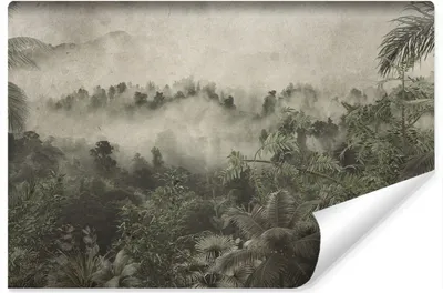 Produktbild von Muralo Vlies Fototapete tropische WALD IM NEBEL Pflanzen Beton Br. 180cm x Hö. 120cm