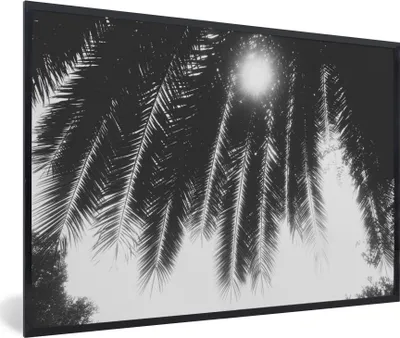 Produktbild von MuchoWow® Gerahmtes Poster Palmenblätter - Tropisch - Sonne - Palme 90x60 cm - Poster mit Schwarzem Bilderrahmen Wandposter Rahmen Foto Bilder - Fotorahmen - Foto-Plakat