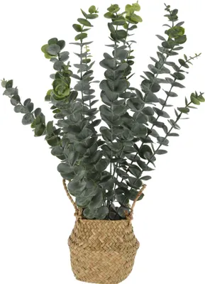 Produktbild von Künstliche Eukalyptuspflanze im Korb, 50 cm