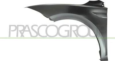 Produktbild von PRASCO VG0253004 Kotflügel Vorne Links für VW POLO (AW1, BZ1)