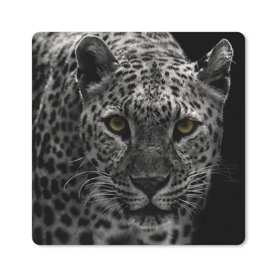 Produktbild von MuchoWow® Mauspad Mousepad Leopard - Schwarz - Weiß 30x30 cm - Mousepads - Maus Mat - Pad - Mausunterlage - Gaming