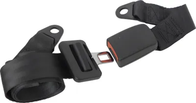 Productafbeelding van CARPOINT veiligheidsgordel, artikelnummer 1434601, lengte 25+100 cm