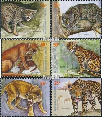 Produktbild von Briefmarken Argentinien 2001 Mi 2665-2670 (kompl.Ausg.) postfrisch Einheimische Katzen